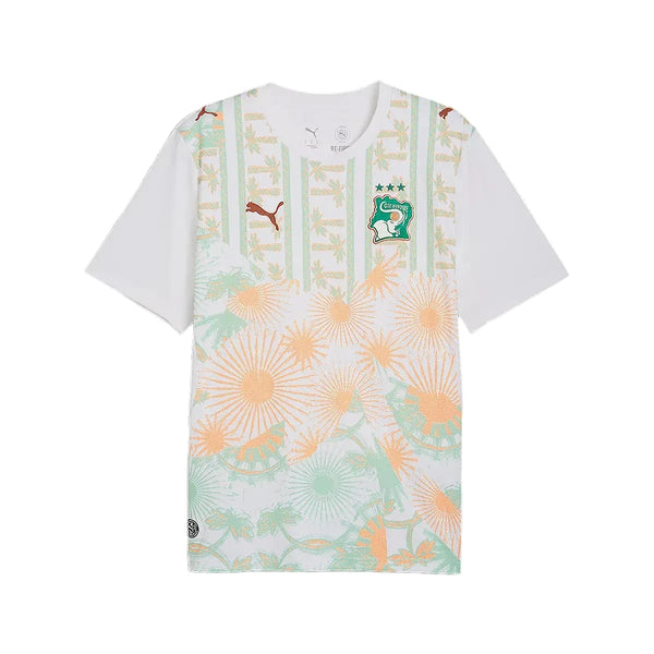 Côte D'Ivoire Maillot Extérieur 26