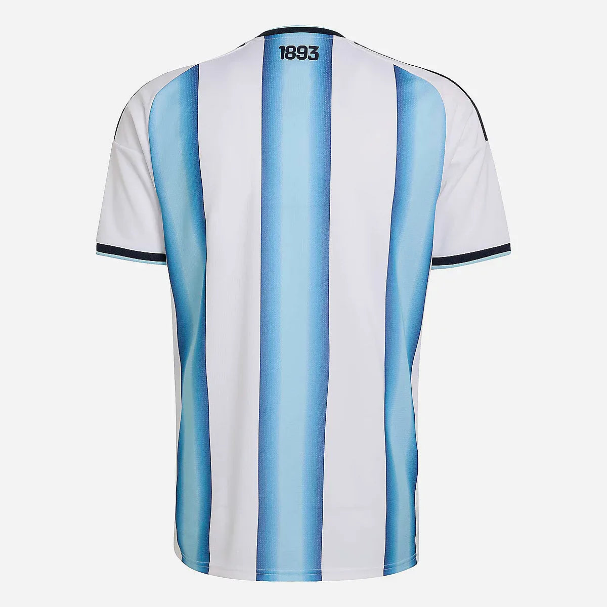 Argentine Maillot Domicile 26