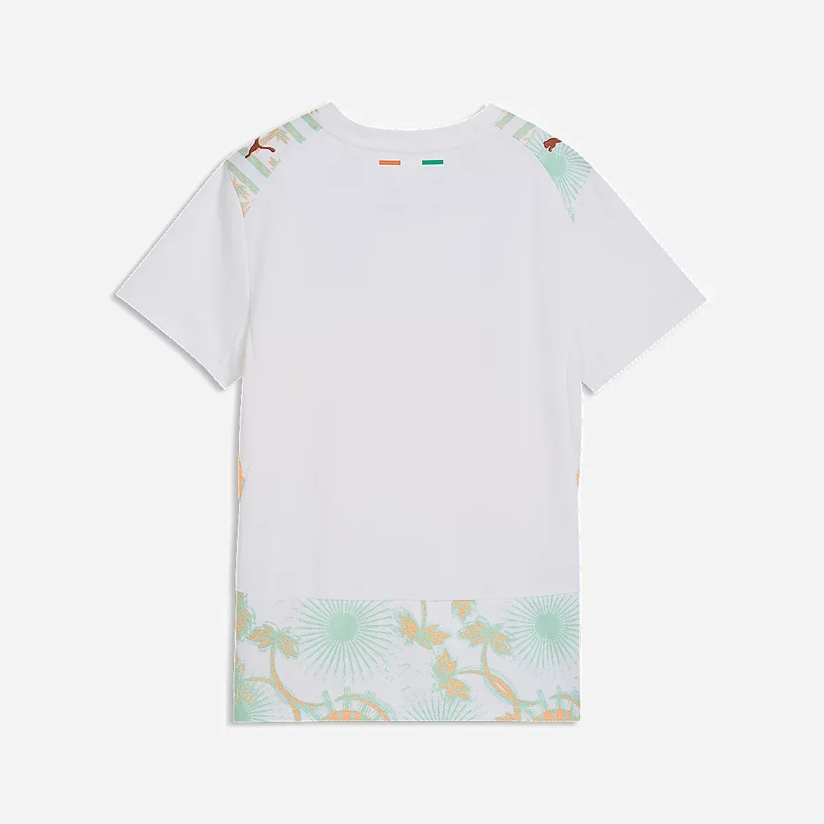 Côte D'Ivoire Maillot Extérieur 26