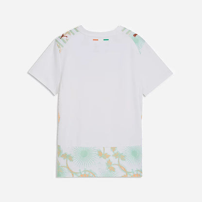 Côte D'Ivoire Maillot Extérieur 26