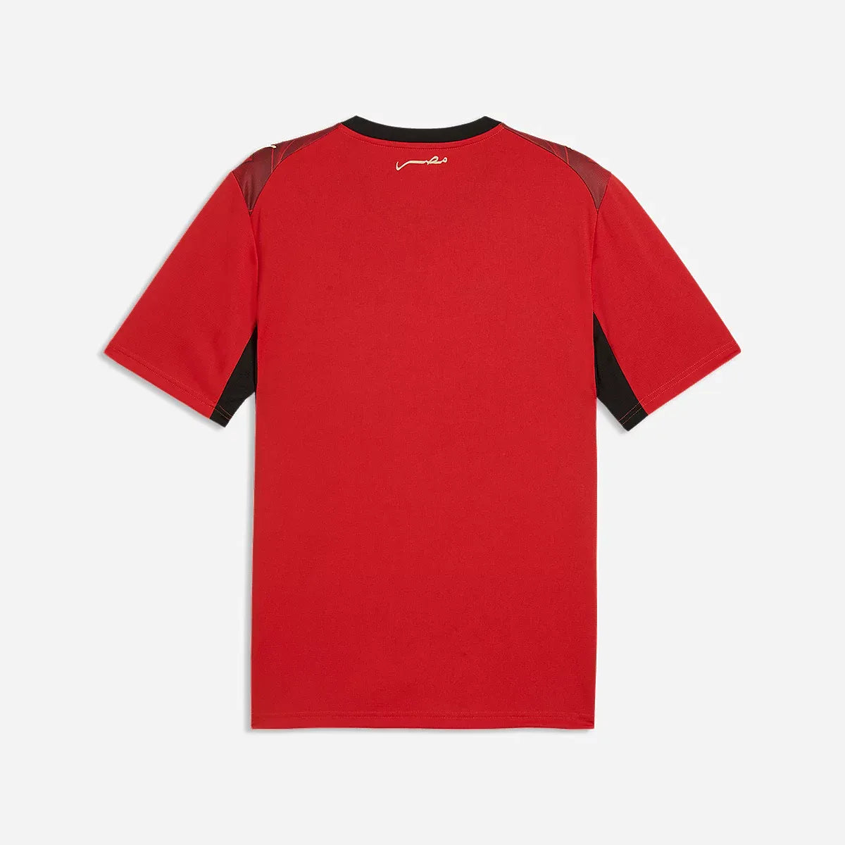Egypte Maillot Domicile 26